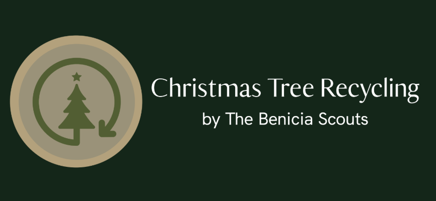 Christmas Tree Recycling